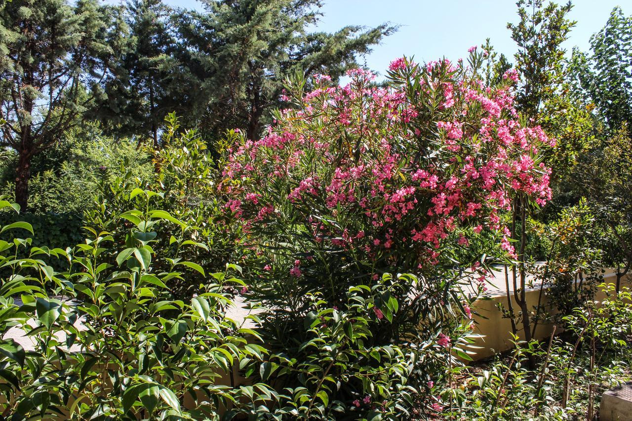 Nireas Resort Corfu Acharavi  Bagian luar foto